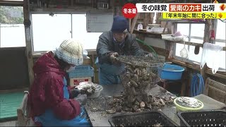 愛南町でカキの出荷始まる 少雨の影響で例年より1か月遅れ【愛媛】 (23/12/19 18:45)