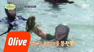 island trio2 호동이가 뿔났다! 기다려라 전복! 180910 EP.12