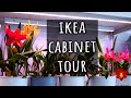 50 Orchids in one cabinet! - Ikea 'Greenhouse' Cabinet Tour