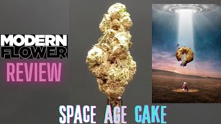 Modern Flower Space Age Cake Flower Review