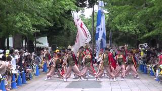 祭・WAIWAIよこはま☆第四位＠2014　よさこい祭りin光が丘公園