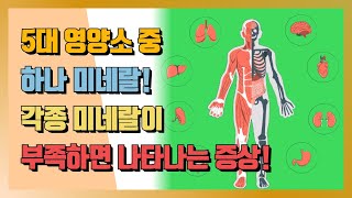 [하루꿀팁] 5대 영양소 중 하나 미네랄! 각종 미네랄이 부족하면 나타나는 증상!