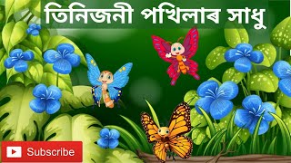 তিনিজনী পখিলাৰ সাধু/Assamese cartoon video/Assamese story