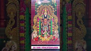 Jai Shri Venkateshwara 🌺🙏🙏🌺 || #Devotion #divineblessings #Hinduism #Spirituality #lordvenkateshwara