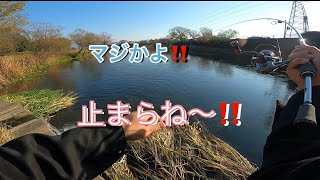 『江津湖』リクエスト釣行　下江津湖に釣り行ってみた🎣