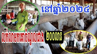 ចំណូលជាង២០០លានលក់លាមកគោនៅឆ្នាំ២០២៤ ចាប់ផ្តើមឆ្នាំ២០២៥លក់លាមកគោបាន៣០លានរៀល