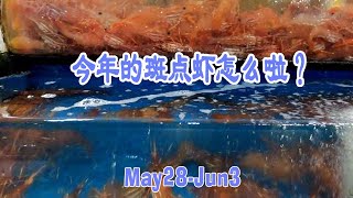 5月28日-6月3日超市｜今年的斑点虾怎么啦？游了个寂寞😂一起看一下温哥华这周最接地气的价格~~