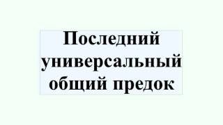 Последний универсальный общий предок