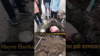 मेयर हर्क साम्पाङ /Mayer Harka Sampang #harkasampang #viral #shorts