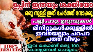 ഉപ്പിലേക്ക് ഒരു നുള്ള് ചേർത്തു നോക്കൂ  | ആരും പറഞ്ഞു തരാത്ത സൂത്രങ്ങൾ |How To Get Rid of Cockroaches