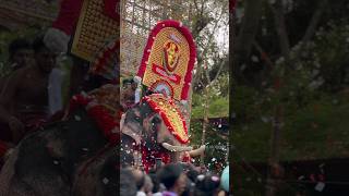 Kattakambal pooram Thrissur Kerala India