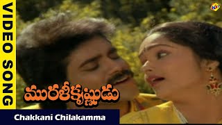 Chakkani Chilakamma Video Song| Murali Krishnudu  Movie Songs |Nagarjuna | Rajani | Vega Music