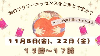 🌼和のフラワーエッセンス🌼11月のイベントのお知らせ✨️