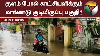 தொடர் மழை - குளம் போல் காட்சியளிக்கும் மாங்காடு குடியிருப்பு பகுதி! | TNRains | Flood