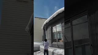 【北海道札幌】雪のある生活【雪庇落とし】 #shorts