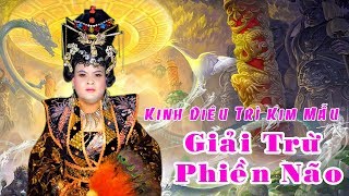 Kinh Phật Mẫu 2017 - Thích Huệ Nhẫn