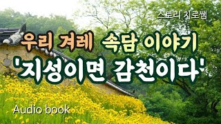 우리 겨레 속담 이야기 | 지성이면 감천이다 | 설화 | 민담 | 지혜와 깨달음의 고전 이야기 | 구연동화 | 전래동화 | 오디오북 | 책 읽어주는 여자 asmr