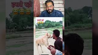 Aaisi funny video aapne dekhi nahi hogi😂reaction funny shots 😂|new short video |#shorts