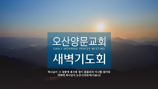 2025년 2월 4일 오산양문교회 새벽기도회 | 요14:25-31 | 나의 평안을 너에게 주노라 | 최근영 목사