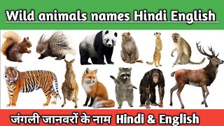 जंगली जानवरों के नाम हिंदी और अंग्रेजी में  | 20 Wild Animals Name in hindi and english | Animals