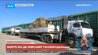 Маңғыстау облысында төрт түлікке қоң бітіп, шаруалардың жағдайы оңала бастады