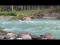 River Stock Footage - Ultra HD Nature Video - Water Stream - Free Stock Hd Videos