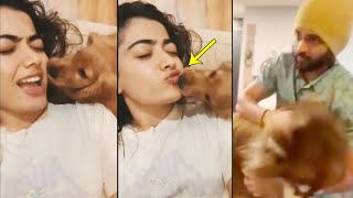 Rashmika Mandanna Playing With Her Pet | Vijay Devarakonda | Daily Culture