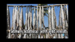 अलिबाग कोळीवाडा आणि सुकी मासळी/छोटीशी सफर अलिबाग कोळीवाड्याची #youtube #konkan #kokanchishan