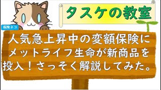 メットライフが２０２０年１１月２日に変額保険を発売！！さっそく解説してみた。