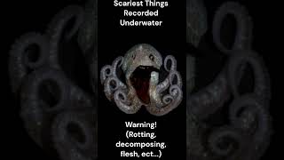 Scariest Things Recorded Underwater Viewer Discretion Advised