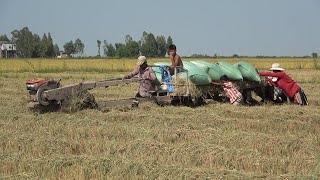 សកម្មភាពកសិករស្រុកកោះអណ្តែត ខេត្តតាកែវ ដឹកស្រូវដោយគោយន្ត | Farmers use tractors to transport rice