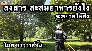 ลงสาร-สะสมอาหาร ทำยังไง จะมาขยายให้ฟัง | อาจารย์สั้น