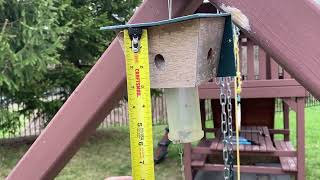 Best Bee Trap 2025 Review - Best Bee Brothers Bee Trap - Best Bee Trap 2025