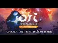 Ori and The Blind Forest Definitive Edition %100 Walkthrough ( Valley Of The Wind )