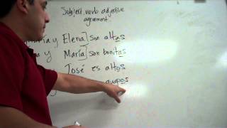 Subject, verb and adjective agreement in Spanish sentences