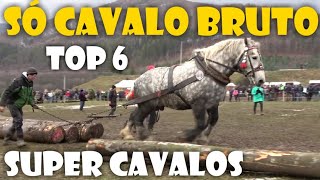 Os Cavalos mais fortes do mundo / Competição BRUTA #TOP 6