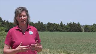 NCC2050 Comprehensive Plan kicks off