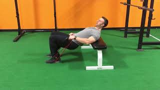 Hip Thrust with Resistance Band