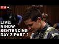 WATCH LIVE: Nicholas Ninow's sentencing - Day 2 Part 1