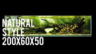 AQUASCAPE NATURAL CONCEPT BY NICKZ | 200 CM TANK