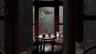 Evening Rain and Fireplace - Cozy Rain Ambiance #naturesounds #relax #ambience #rain