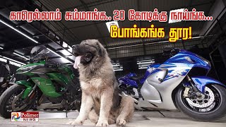 ஆத்தி... ஒரு நாய் விலை 20 கோடி... அப்படி என்ன அதுல ஸ்பெஷல்?