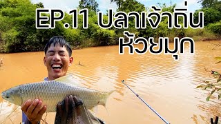 EP.11 ตกชิงหลิว หมายธรรมชาติลำห้วย ลงนำ้เอาปลาเจ้าถิ่น - ซำ้หมายเดิม