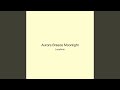 Aurora Breeze Moonlight