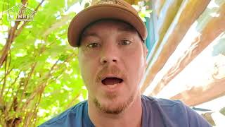 How do I get rid of Carpenter Bees? Let us show you! We have tried it all.