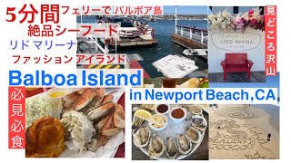 #85Vlog必見必食【アメリカ|ニューポートビーチの見どころ|バルボア島への行き方 名物''フローズンバナナ''|リドマリーナビレッジ 他】人気シーフードレストラン情報！ブルーボトルコーヒーもシェア