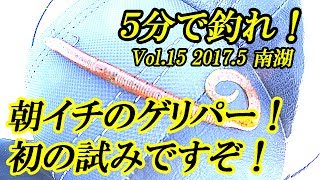 【５分で釣れ！ Vol.15 2017.5】朝イチのゲリパー！初の試みですぞ！