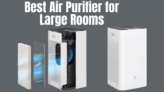 Best Air Purifier for Large Rooms