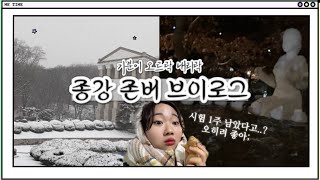 [대학생 브이로그] 경희대생의 종강 존버 | 궁상 떨다보니 시험 1주 전..? | 벼락치기 가보자고;