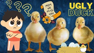 The ugly duckling | duck story | bedtime stories | stories for kids | moral story | fairytalestories